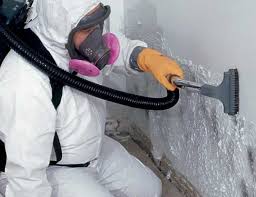 Best Environmental Consulting for Mold Prevention  in Freeport, FL